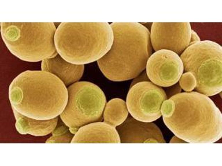 Подготовка дрожжей