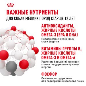 Пауч Royal Canin Mini Ageing 12+ для стареющих собак мелких размеров в возрасте старше 12 лет