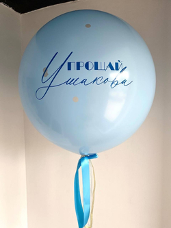 Шар с шаром внутри на девичник №1025