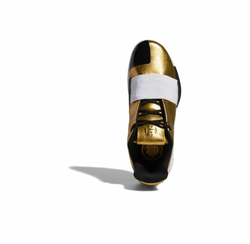 Кроссовки Adidas Harden Vol. 3 'Imma Star' Asia Exclusive EE3955