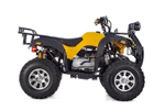 Квадроцикл RAPTOR Max Pro 250 (жёлтый/чёрный) (2024)