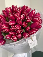 Букет из 51 малиново-белых тюльпанов - нет в наличии