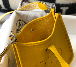 Hermes Evelyne Mini