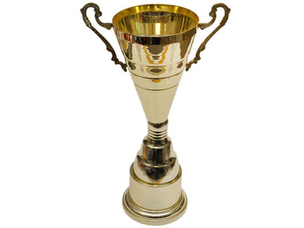 Кубок. Высота  37 см: D50-C