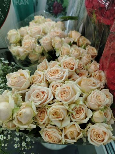 Букет из 15 веток кустовых роз