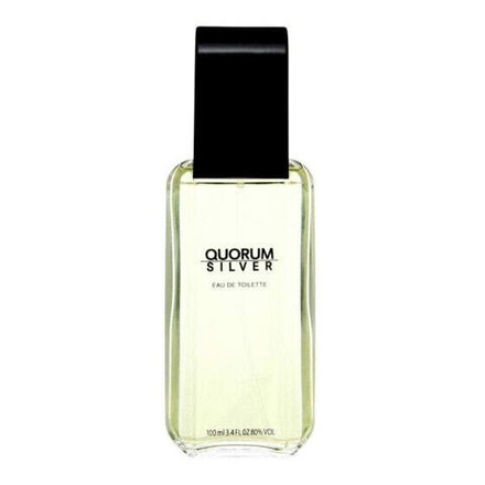 Мужская парфюмерия Мужская парфюмерия Antonio Puig EDT Silver Quorum 100 ml