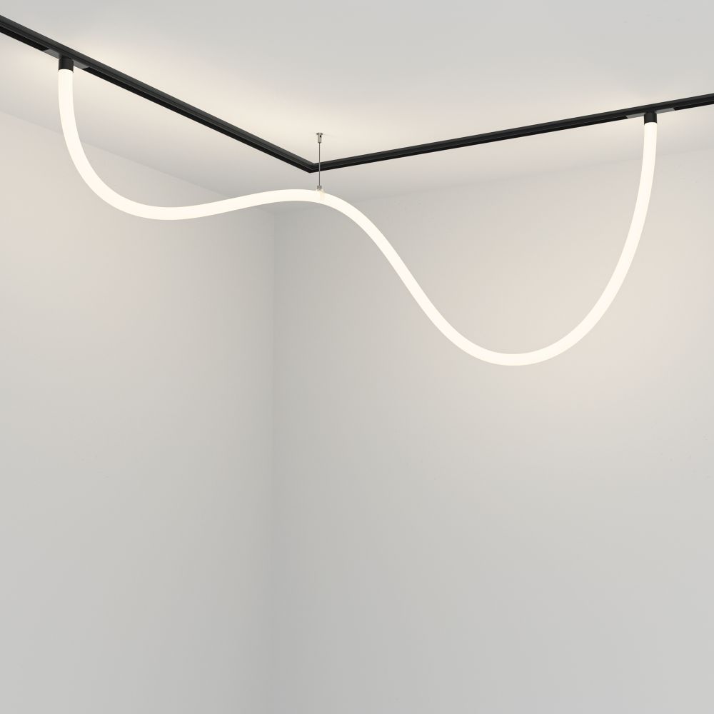 Трековый магнитный светодиодный светильник Maytoni   TR101-2-50W4K-B