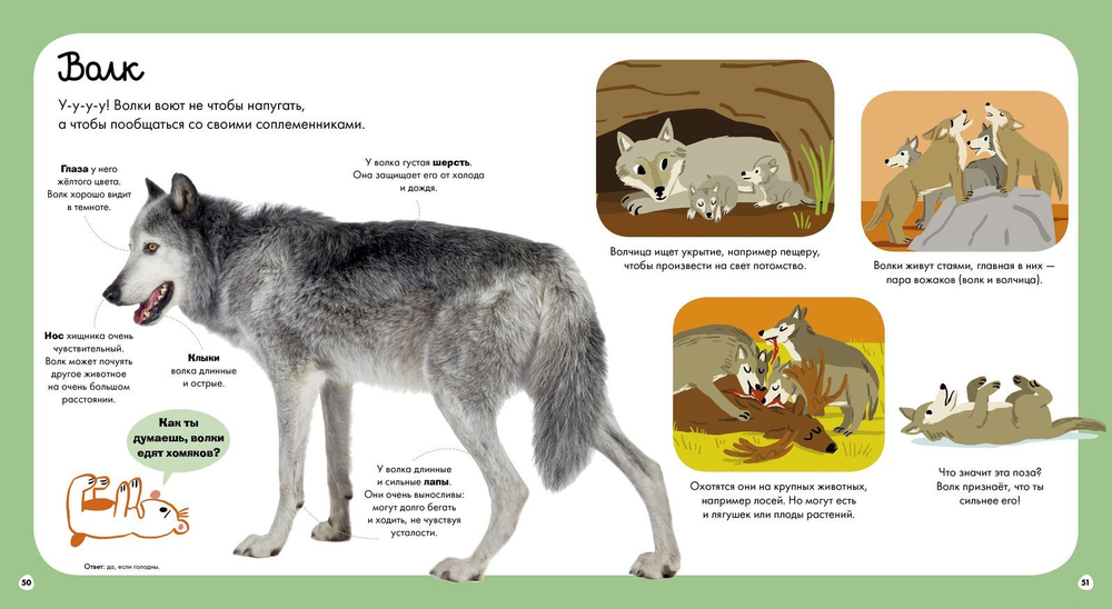 Главная книга малыша. О животных