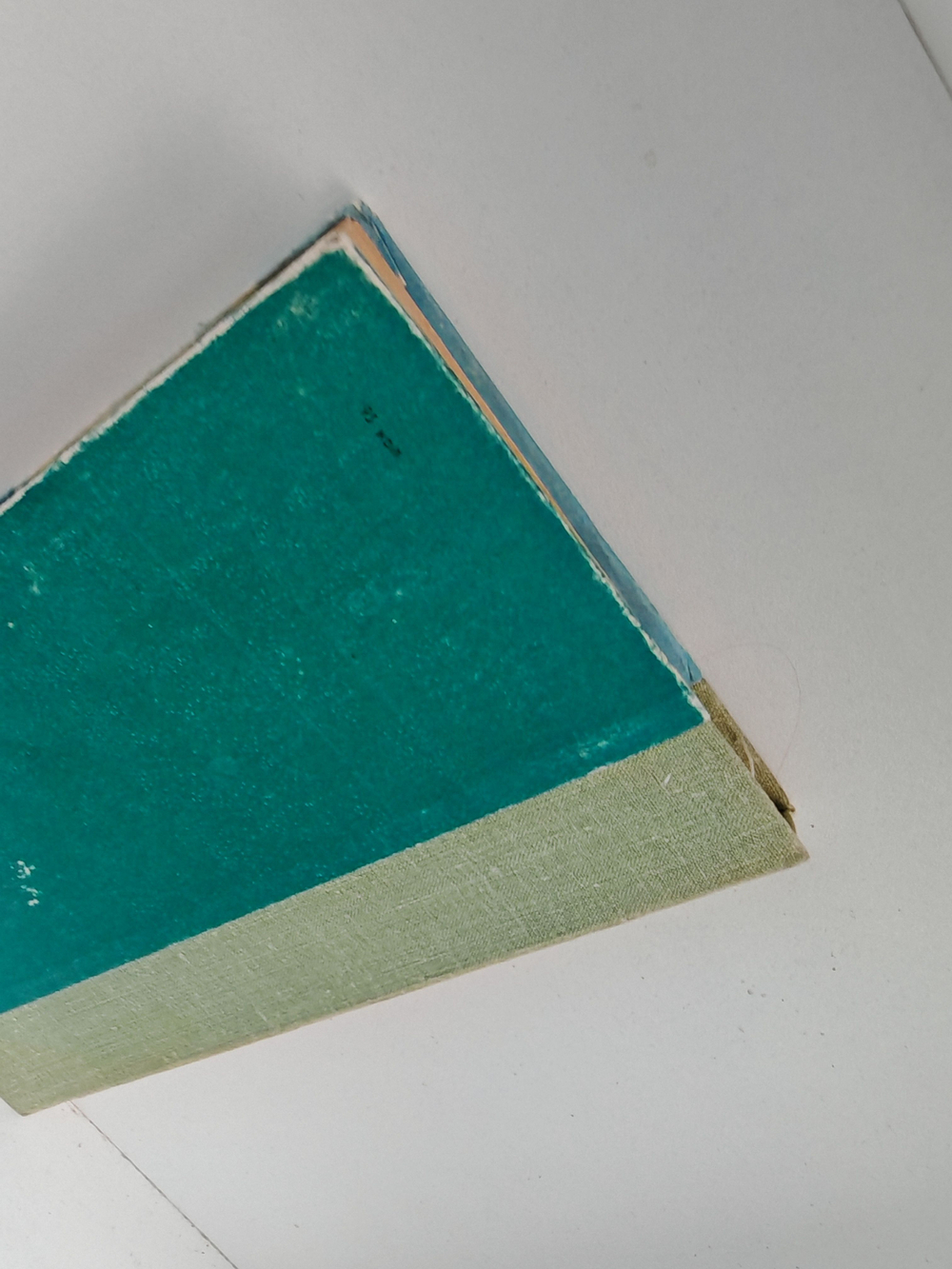 Смотреть и слушать лилии