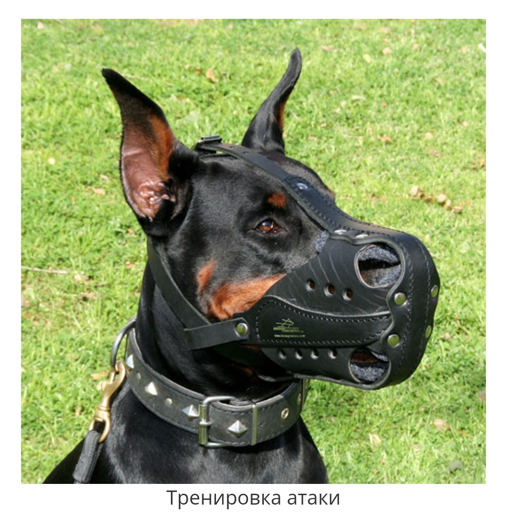 НАМОРДНИК КОЖАНЫЙ "БОЕВОЙ"