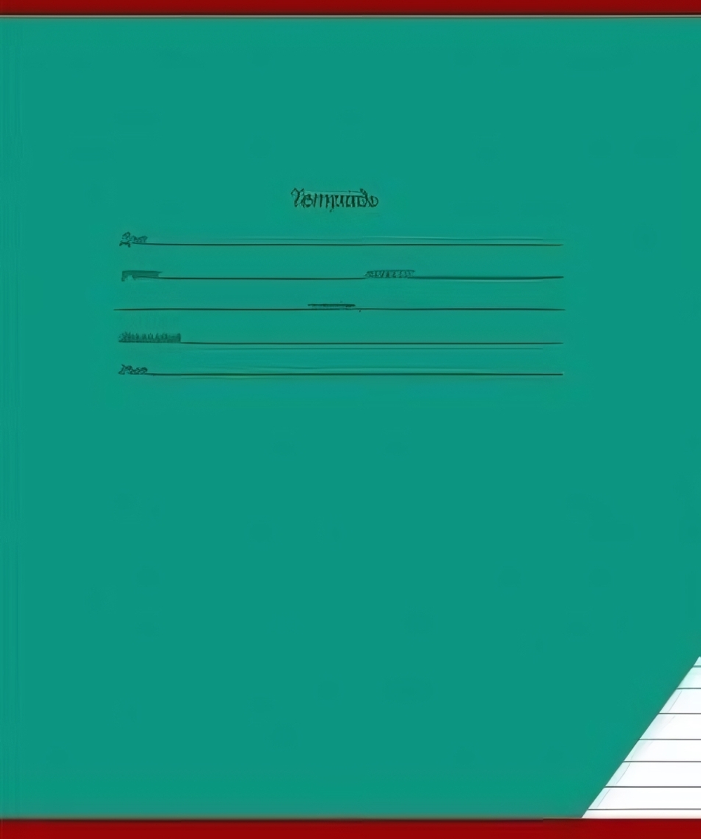 Тетрадь А5 12л. уз.лин. Школьная классика (12-9125) (Проф-Пресс) микс цветов (комплект 5 шт)