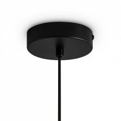 Подвесной светильник Freya Irisa FR5593PL-01B