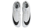 Кроссовки Nike Zoom Rival S10