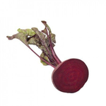 Цеппо F1 семена свеклы (Rijk Zwaan / Райк Цваан)