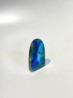 Срез Лабрадора S