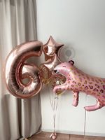 Воздушные шары №5952