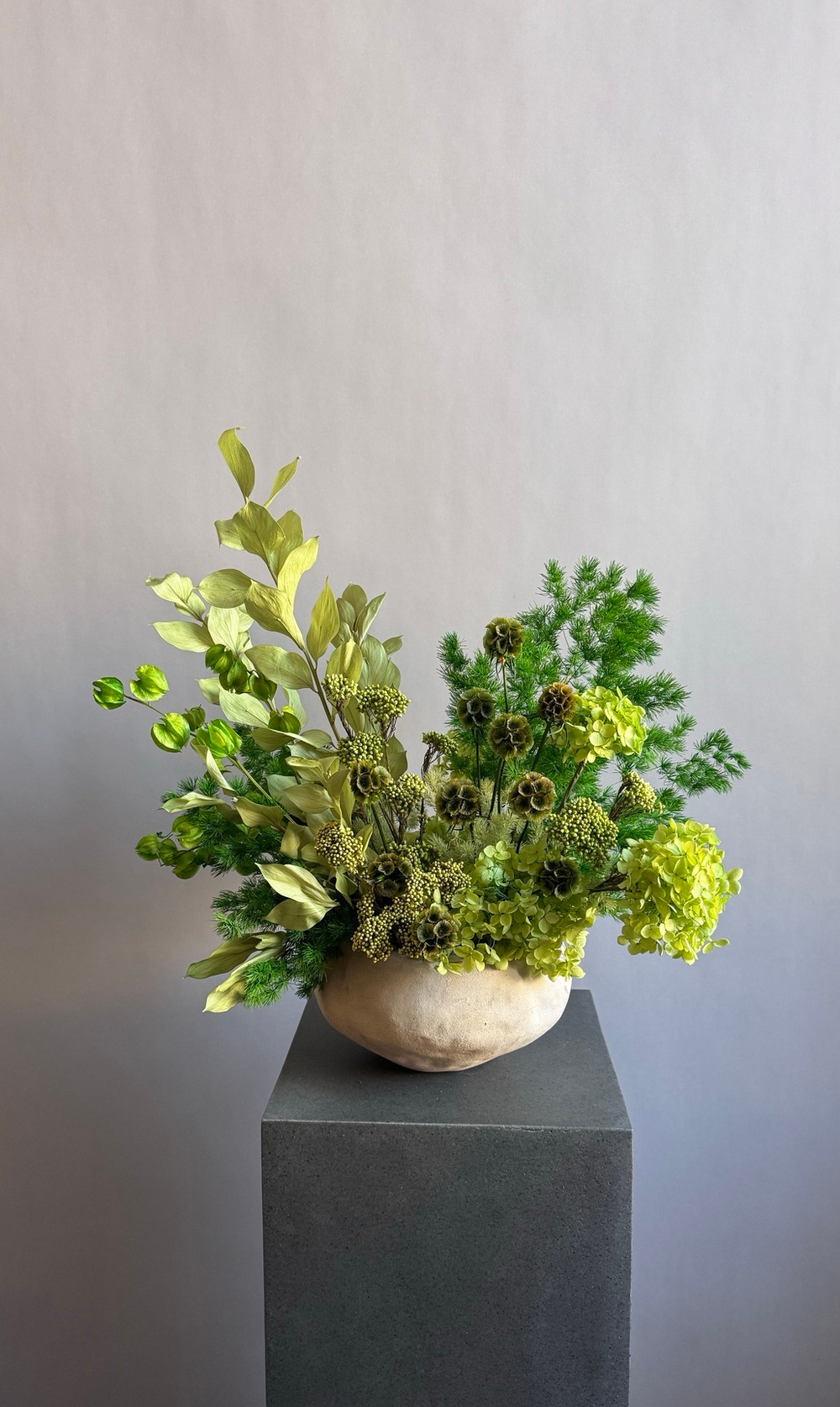 Композиция в кашпо Озотамнус