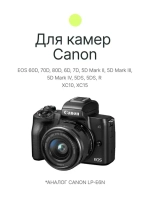 Аккумулятор Raylab RL-LPE6N 2000мАч (для EOS 6D 60D, 70D, 80D, 7D, 5D mark II, mark III)