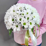 Шляпная коробка с кустовой хризантемой сорта "KENNEDY WHITE"