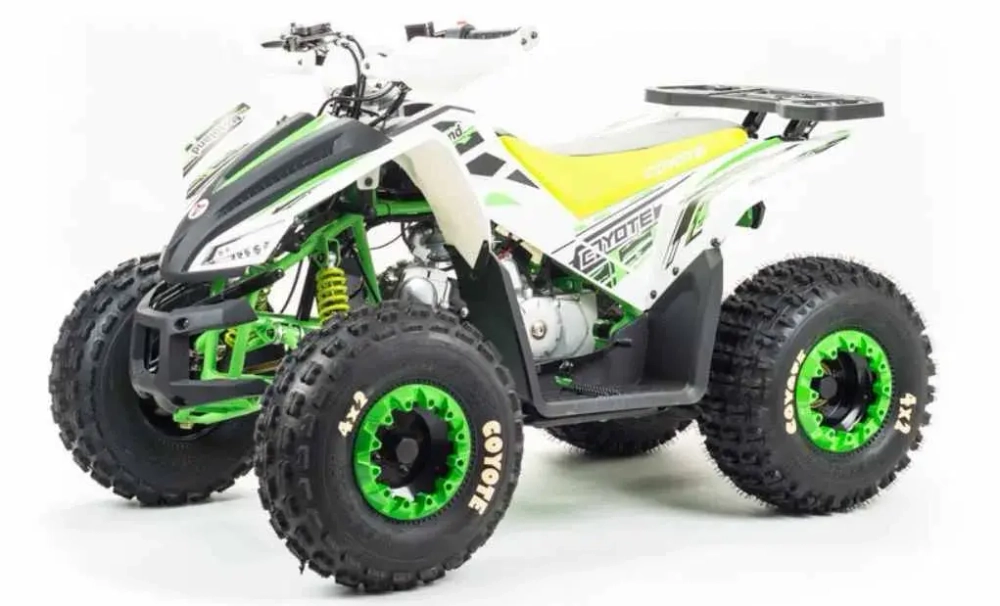 Квадроцикл Motoland 125 COYOTE
