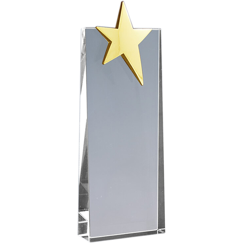 Награда стекло 1660-200-100