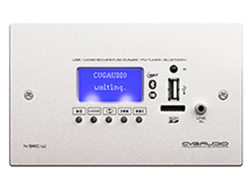 CVGAUDIO N-SRC-W внешний универсальный настенный источник сигнала