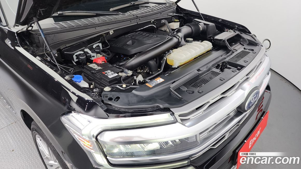 Ford Expedition Platinum 4WD (08.2022)