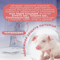Суспензия для щенков и сельхоз животных для лечения и профилактики кокцидиозов Аписенна СТОП-КОКЦИД 100мл, Толтразурил 50мг