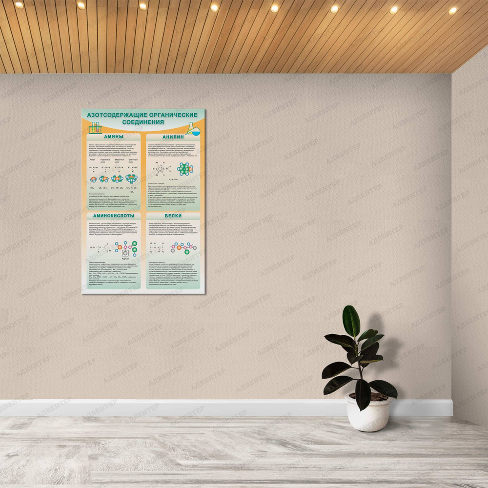 Стенд Азотсодержащие органические соединения. Амины. Анилин. Аминокислоты. Белки. 767