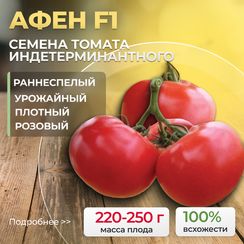 АФЕН F1 семена томата (Clause | Alexagro)