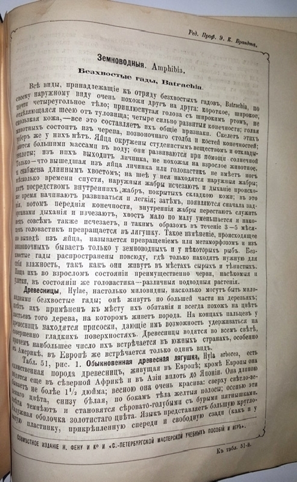 "Рельефный зоологический атлас. Часть третья. Пресмыкающиеся и рыбы.". Гагельберг. 1880г. - антикварное издание