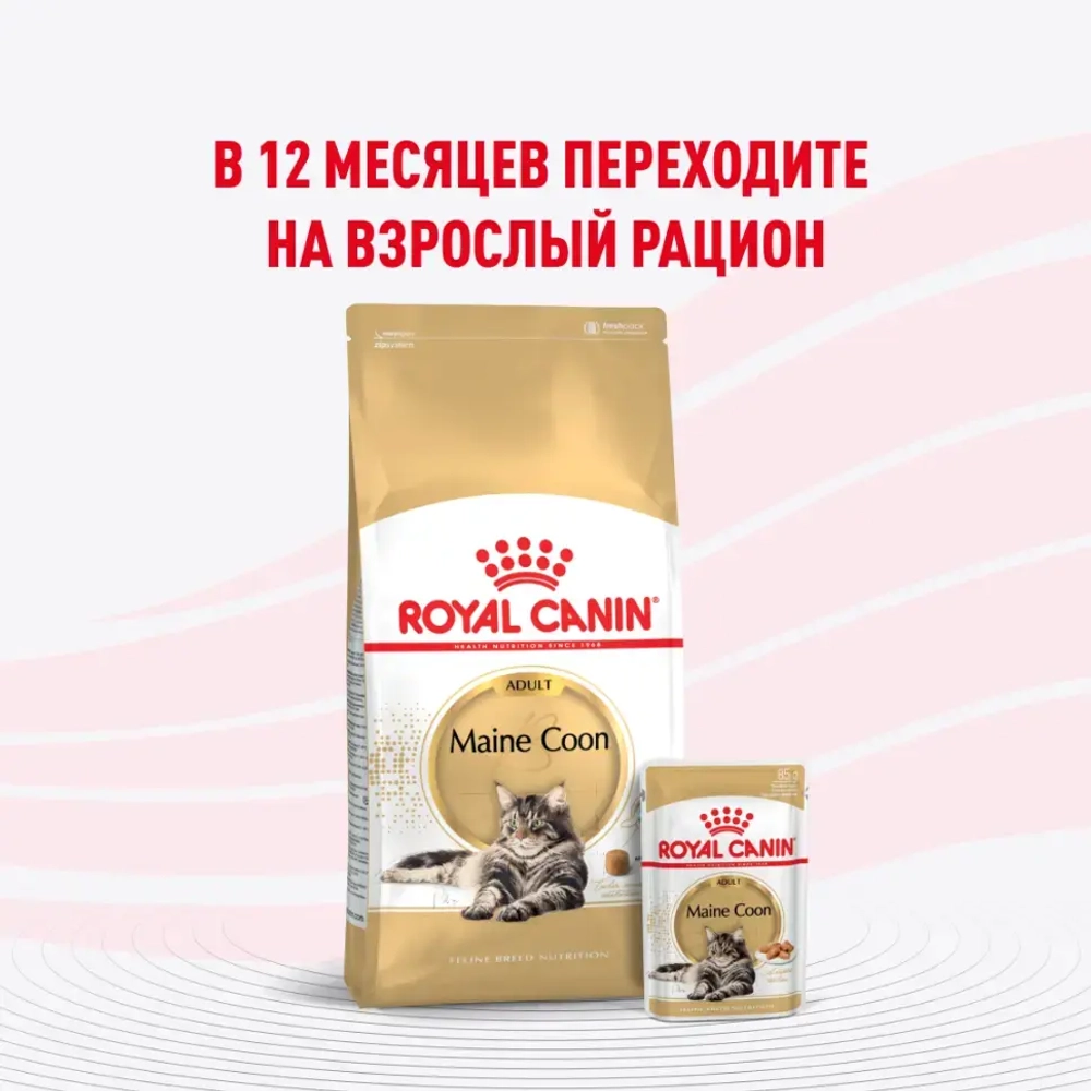 Royal canin kitten maine coon 85 г пауч влажный рацион для кошек породы мейн-кун в возрасте от 3 до 15 месяцев