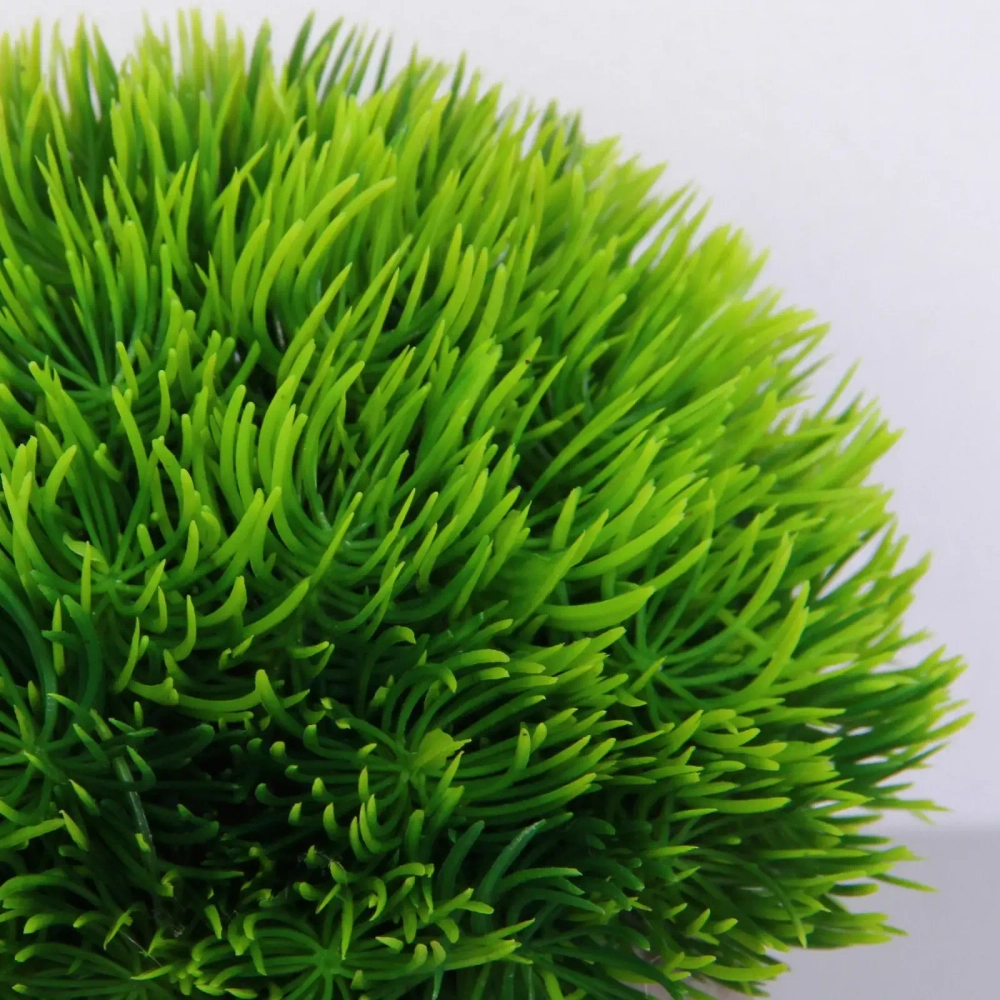 Цветочная композиция «Green garden» 10*12см в горшке, трава