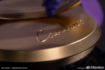 Castorice