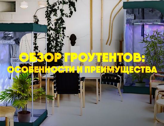 Обзор гроутентов: особенности и преимущества