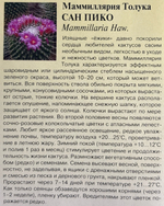 Маммиллярия Толука (Кактус) Сан пико 2 шт CМЦ-932