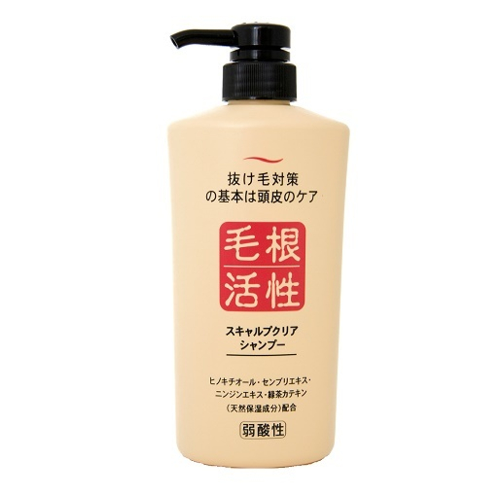 Шампунь для укрепления и роста волос JunLove Scalp Clear Shampoo 550мл