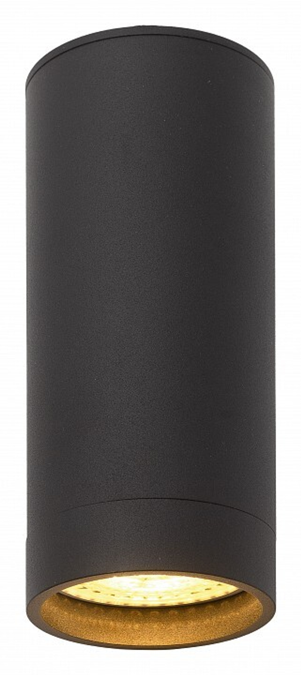 Накладной светильник Denkirs DK2051-BK