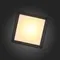 SL077.402.01 Светильник уличный потолочный ST-Luce Черный/Белый LED 1*12W 3000K CUBISTA