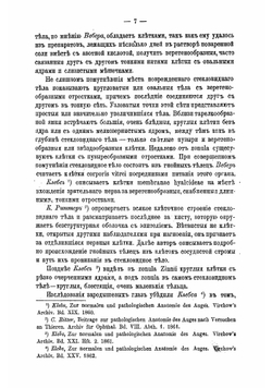 О клетках стекловидного тела | Потехин Анатолий Антипович