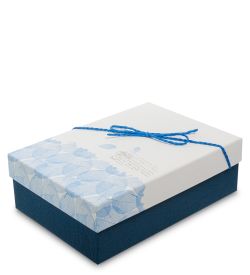 Packing Symphony WF-70/2-B Коробка «Прямоугольник» цв.синий