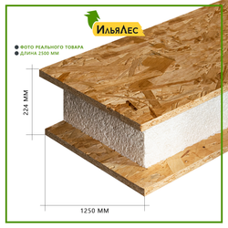 SIP панель OSB-3 224х1250х2500 мм.