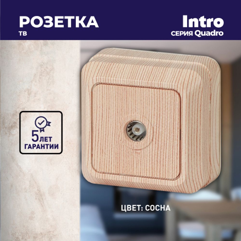 Розетка Intro Quadro 2-301-11 TV одиночная, IP20, ОУ, сосна