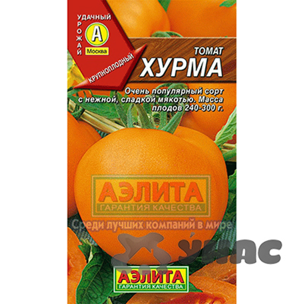Томат Хурма Аэлита