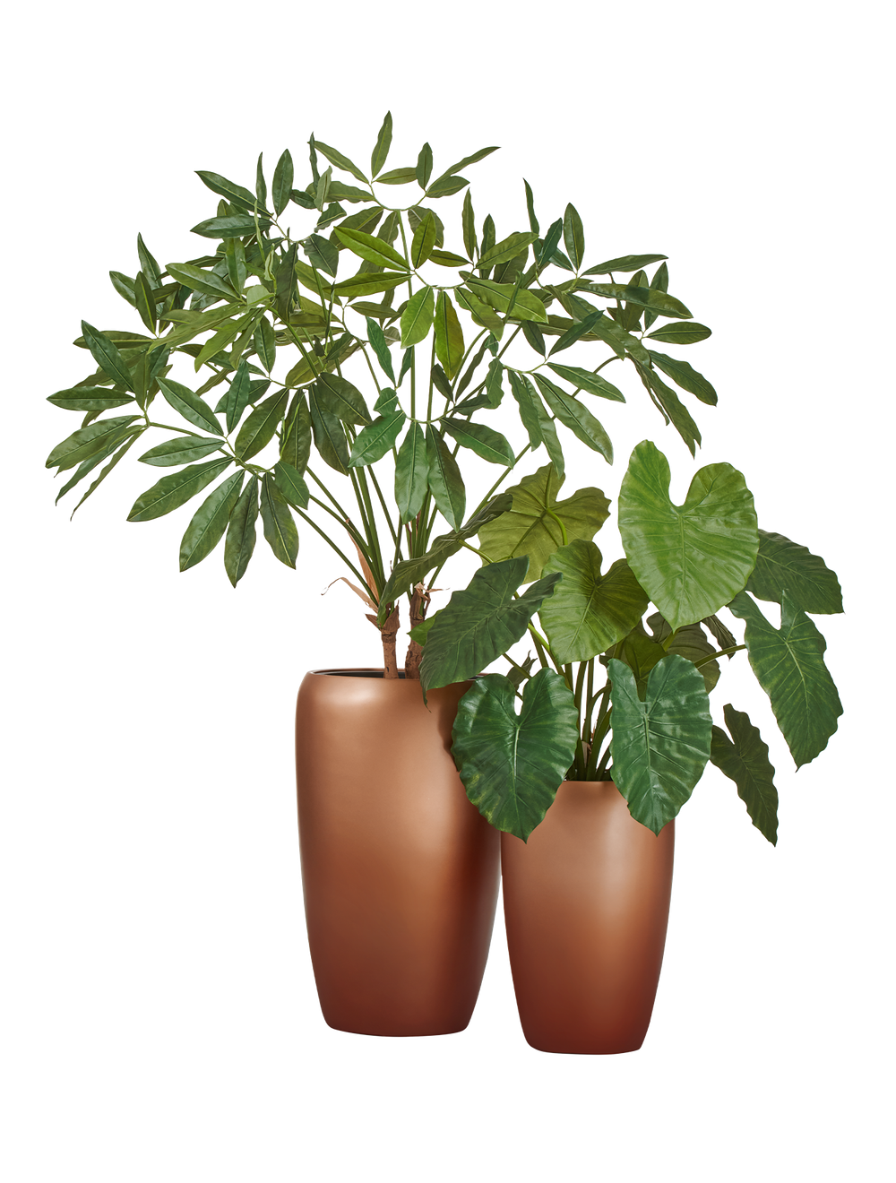 Композиция с филодендроном в матовых кашпо Treez Effectory Metal