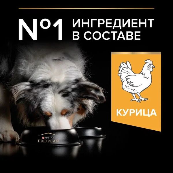 Уценка! Срок 08.08.26/ Сухой корм Pro Plan для взрослых собак средних пород, с высоким содержанием курицы
