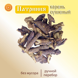 Патриния безразличка корень.
