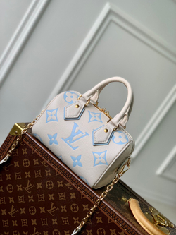 Louis Vuitton Speedy 20