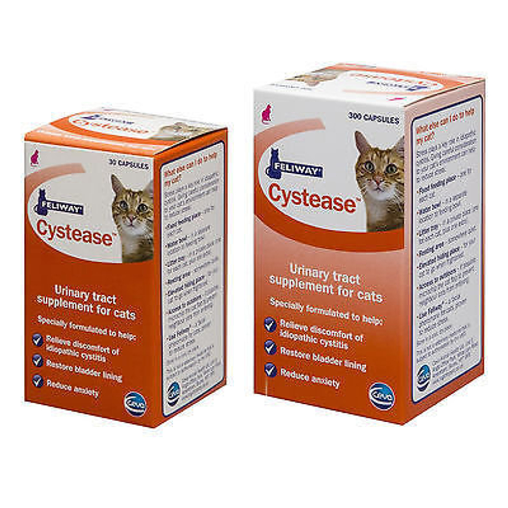Cystease capsules for cats online