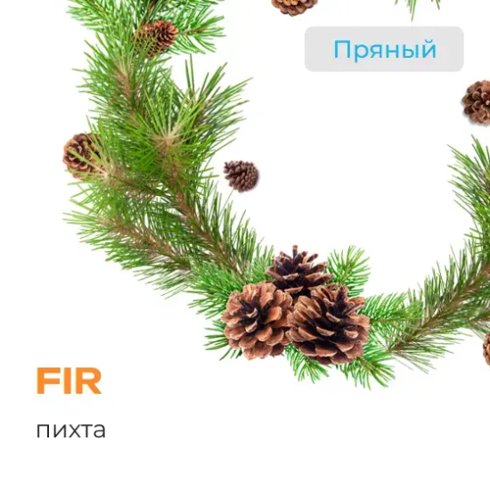 Element "Вода" (Fir), 25 гр.